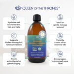 QUEEN OF THE THRONES Organic Golden Castor Oil | 100% Pure for Hair, Skin, Nails, Brows & Lashes | Hexane-Free | USDA Certified [16.9oz (500ml)] - Image 2
