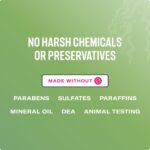 Mielle Organics Rosemary & Mint Hair Oil - Strengthening Biotin Oil Infused Frizzy & Damaged Hair Care - Split Ends & Dry Scalp Treatment to Support Longer, Healthier Strands, 2oz - Image 7