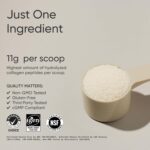 Sports Research Collagen Peptides - Hydrolyzed Type 1 & 3 Collagen Powder Protein Supplement for Healthy Skin, Nails, & Joints - Easy Mixing Vital Nutrients & Proteins, Collagen for Women & Men - Image 2