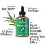 Rosemary Oil for Hair Growth for Women, Men. Strengthens & Hydrates Thinning, Dry Hair for a Healthier-Looking Scalp. For Women & Men – Vegan 1oz Serum - Image 2