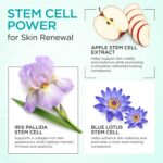 Collagen Face Cream with Stem Cells Retinol Hyaluronic Acid Niacinamide for All Skin Types - Anti-Aging Face Moisturizer with Airless Pump - Day & Night Cream for Wrinkles - Made in USA 1.7 Oz - Image 8