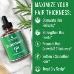 Rosemary Oil for Hair Growth for Women, Men. Strengthens & Hydrates Thinning, Dry Hair for a Healthier-Looking Scalp. For Women & Men – Vegan 1oz Serum - Image 3