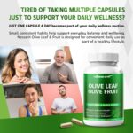 Olive Leaf & Olive Fruit 9,100mg with 60% Oleuropein & 60% Hydroxytyrosol – Plus Black Seed Oil & Black Pepper – 150 Capsules - Image 2