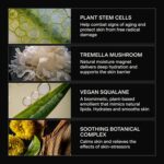 Caldera + Lab The Base Layer | Men's Organic Face Cream Moisturizer for Dry, Sensitive, & Normal Skin – Vegan, Natural & Antioxidant Packed Facial Skincare - Image 4