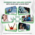 Olive Leaf & Olive Fruit 9,100mg with 60% Oleuropein & 60% Hydroxytyrosol – Plus Black Seed Oil & Black Pepper – 150 Capsules - Image 3