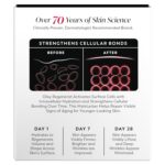 Olay Regenerist Micro-Sculpting Cream Face Moisturizer - Image 15