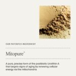 Timeline Mitopure™ Barrier Cream Nourishing Moisturizer With Peptides to Restore Dry Skin & Strengthen Barrier - 1.7 Fl Oz - Image 7