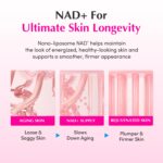 EQQUALBERRY NAD+ Peptide Boosting Cream – NAD+ 5% & 13 Peptides Anti-Aging Korean Skincare Face & Body Cream | Firming & Lifting Pink Neck Cream for Sagging Skin (1.69 fl.oz / 50ml) - Image 5