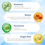 Hair Growth Serum Roll On with 3% Rosemary,3% Batana Oil,2% Pea Extract,2% Ginger Root Oil,Stronger Root,stimulate follicle,Hair Thicker,Hair Loss Treatment,Hair Growth Serum(30ML/1.01FL.OZ) - Image 2