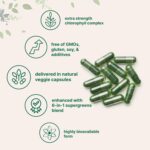 Micro Ingredients Chlorophyll Super Greens Complex | 240 Veggie Capsules with Parsley, Moringa, Spirulina, Chlorella, & More | Gluten-Free, No Additives - Image 3