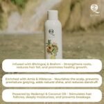 Herbal Hair Oil for Men & Women | Non-Greasy Oil with Amla, Bhringraj, Hibiscus, Coconut & Redensyl, 200ml - Image 4