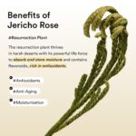 Abib Collagen Peptide Eye Patches for Wrinkles & Fine Line with Jericho Rose Jelly, 60 Count, Korean Skin Care - Image 5