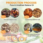 Raw Batana Oil, 100% Natural Organic Hair Growth Oil for Men & Women, Sourced from Honduras, Pure, Unrefined, Enhances Thickness, Prevent Hair Loss 4 Oz - Image 6