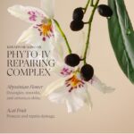 L'ANZA Keratin Healing Oil Hair Treatment Repairs Dry, Damaged Hair, Split Ends, Smooths Flyaways, Adds Silky Shine, Color Safe Anti Frizz, Heat & UV Protection Anti-Humidity, Sulfate Free - Image 6