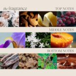 L'ANZA Keratin Healing Oil Hair Treatment Repairs Dry, Damaged Hair, Split Ends, Smooths Flyaways, Adds Silky Shine, Color Safe Anti Frizz, Heat & UV Protection Anti-Humidity, Sulfate Free - Image 7