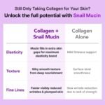 Glow, 1200mg Snail Mucin Supports Skin Elasticity, Collagen Peptides Jelly Stick, Kiwi Flavor, Biotin, Vitamin C, Hyaluronic Acid, Prebiotics, Korean Skin Care, 10 Sticks - Image 4