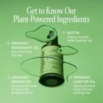 Cliganic Rosemary Hair & Scalp Oil with Biotin & Jojoba With Herbal Organic Ingredients - Serum To Smooth & Soften Frizzy, Damaged Hair, Split Ends & Dry Scalp Promote Fuller-Looking Hair 2 Fl Oz - Image 2