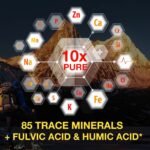Shilajit Pure Himalayan Organic Resin Drop, Pure Himalayan Shilajit Resin Liquid Gold Supplement, Shilajit Organic Drop Rich in 85+ Trace Minerals, Shilajit for Men & Women (2.02 Fl Oz (Pack of 2)) - Image 3