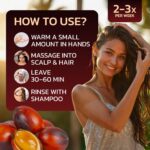 Batana Oil for Hair Growth - 100% Pure & Unrefined - Raw Natural Dr. Sebi Botana Oil - Scalp Health, Strengthens, Thickens & Hydrates - Repairs Split Ends - Prevents Hair Loss for Men & Women - Image 7
