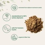 Organic Milk Thistle Tea Powder, 3.5 ounces | Up to 400 Servings | Premium Milk Thistle Liver Detox Supplement | Contains 80% Active Silymarin | Non-GMO, Vegan Friendly, Eco-Friendly Recyclable Bags - Image 3