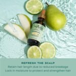 Shea Moisture Strengthening Scalp & Hair Oil Rosemary & Vegan Collagen To Protect The Scalp And Strengthen Hair With ScalpBoost Technology For A Cooling Sensation With ScalpBoost Technology 2 Fl Oz - Image 3