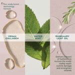 Shea Moisture Strengthening Scalp & Hair Oil Rosemary & Vegan Collagen To Protect The Scalp And Strengthen Hair With ScalpBoost Technology For A Cooling Sensation With ScalpBoost Technology 2 Fl Oz - Image 9