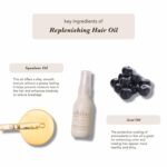 Shibui Replenishing Hair Oil, Moisturizing & Frizz Control, Adds Shine & Nutrients, Vegan & Sulfate-Free, 2 Fl Oz - Image 3