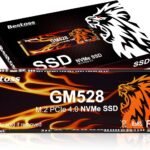 Bestoss 512GB M.2 SSD NVMe PCIe 2280 Internal Solid State Hard Drive, Up to 5000 MB/s, 3D NAND SLC Cache, SSD for Gaming PC Storage, Business Laptop, Home Entertainment, Creative Workflow GM528