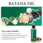 Batana Oil for Hair Growth, 100% Raw Natural from Honduras, Hair Growth Oil for Thicker, Longer Hair, Scalp, Dryness Dandruff, Eyelashes, Beard, Skin - Image 2