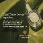 DAE Prickly Pear Hair Oil - Smooths Frizz, Hydrates, Prevents Breakage, Detangles, & Adds Shine (1.7 oz) - Image 3