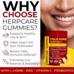 Cold Sore Treatment for Lip & Skin Support with L-Lysine, Zinc, Vitamin C & Probiotics | Vegan Immunity Booster That Helps Prevent Outbreaks & Promotes Faster Healing | 60 Berry Flavored Gummies - Image 5