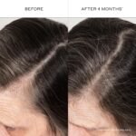 ZENAGEN Densifying Hair Serum for Fine + Thinning Hair | Boosts Hair Density, Strengthens & Nourishes Hair Follicles, Non-Greasy Water-Based Formula, Plant-Based, Vegan, All Hair Types - Image 4