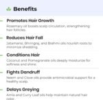 Avimee Herbal Rosemary Hair Oil | For Hair Growth, Hair Fall Control and Dandruff | 100% Pure & Natural | Mineral Oil Free | 100mL - Image 5
