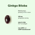 Micro Ingredients Ginkgo Biloba 120 mg Per Serving, 400 Softgels | 3-in-1 with Panax Ginseng & Lion’s Mane | Herbal Mushroom Blend | Made with MCT Oil | Non-GMO - Image 3