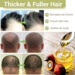 Lifewitqueenp Queenp Ayurvedic Hair Growth Oil, 1pcs | Hair Care Growth Oil, Lightweight, All Hair Types - Image 6