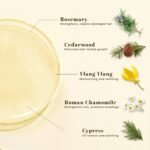 Rosemary Hair Growth Shampoo, Strengthening Shampoo 473 ml(16 fl.oz), For All Hair Types, with Herbal Essential Oils and Plant Extracts for Thinning Hair for Women and Men - Image 4