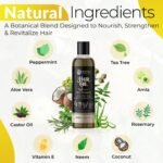 7-1 Hair Oil for Hair Growth with Rosemary- Tea Tree-Coconut & Castor Oils, Infused with Vitamin E –Hydrating Treatment for Hair Fall, Dry Scalp & Thicker, Healthier Hair –Men & Women,8 Fl Oz - Image 2