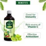 Dabur Amla Juice - Rich Sources of Vitamin C - 100% Ayurvedic Health Juice - 1Ltr - Image 4