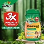 Zandu Chyawanprash Avaleha- 900g | Improves Respiratory and Digestive Health, Boosts Strength and Stamina, 2X Immunity | Enriched with 39 Vital Ayurvedic Herbs Like Amla, Asvagandha, - Image 2