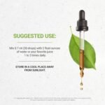 Secrets of the Tribe Clove USDA Organic | Alcohol-Free Extract, High-Potency Herbal Drops | Made from 100% Certified Organic Clove (Syzygium Aromaticum) Dried Flower Buds 4 oz - Image 3