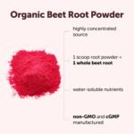 Micro Ingredients Organic Beet Root Powder, 2lb | Water Soluble, Highly Concentrated Raw Beet Supplement | Superfood Drink Mix | Non-GMO, Vegan Friendly, Plant Based - Image 3