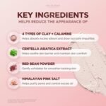 SKIN1004 [Hudson's Pick] Poremizing Quick Clay Stick Mask, Facial Clay Mask for Pores, Centella Clay Stick for Pore Minimizing, Pink Pore Mud Mask for Sebum Balance, Korean Skin Care, 0.95 oz / 27g - Image 6