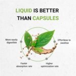 Secrets of the Tribe Clove USDA Organic | Alcohol-Free Extract, High-Potency Herbal Drops | Made from 100% Certified Organic Clove (Syzygium Aromaticum) Dried Flower Buds 4 oz - Image 2