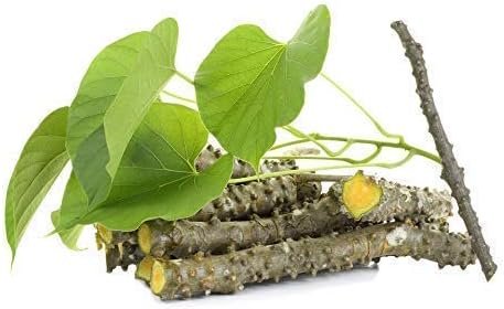41aP0Xsw29L._AC_.jpg Fresh Neem Giloy Sticks Set of 12 (6" Inch Long) Packing in Corrugated Box - Image 1