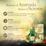 KESH KING Ayurvedic Hair Oil | Herbal Oil with Bhringraj & Amla | Enhance Hair Growth | Reduce Hairfall | Nourishes Scalp | Provides Long & Thick Hair | 3.38 Fl Oz/100ml - Image 3