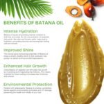 Batana Oil for Hair Growth, 100% Pure - Dr. Sebi Organic Batana Oil from Honduras, Prevent Hair Loss, Eliminates Split Ends for Men & Women 120g - Image 4