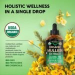 Mullein Drops for Lungs - USDA Organic Mullein Leaf Extract Liquid - 2 oz | Respiratory Health Support for Women & Men - Lung & Bronchial Cleanse for Smokers - As Tincture, Tea, Pills - Image 4