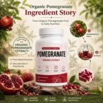 Organic Pomegranate Extract Capsules, Pomegranate Supplement with Naturally Occurring Polyphenols, Plant-Based Daily Wellness Formula, Non-GMO & Gluten Free, 60 Vegan Capsules - Image 3