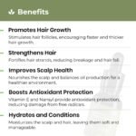 AVIMEE HERBAL Rosemary Essential Hair Oil with Vitamin E and Nansyl - 15 ML - Image 4