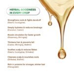 Hair Oil with Coconut, Rosemary & Bhringraj 200ml - Image 7